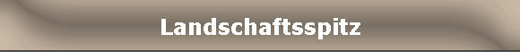 Landschaftsspitz